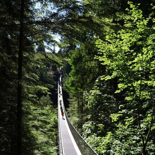 7 Hour Vancouver City Tour & Suspension Bridge Canadian Craft Tours & Charters