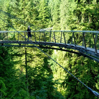 7 Hour Vancouver City Tour & Suspension Bridge Canadian Craft Tours & Charters