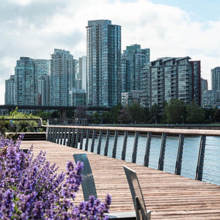 2 Hour Vancouver City Highlights Tour Canadian Craft Tours & Charters