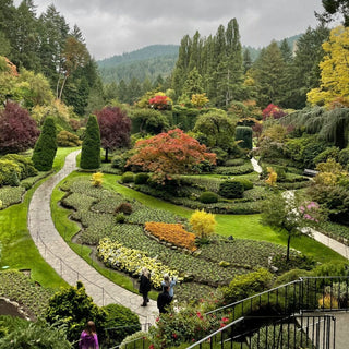 Victoria City Tour Canadian Craft Tours & Charters