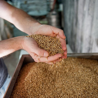 Canada Brewery Tours Canadian Craft Tours & Charters