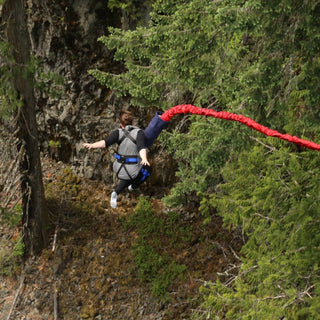 Whistler Sea to Sky Tour Canadian Craft Tours & Charters