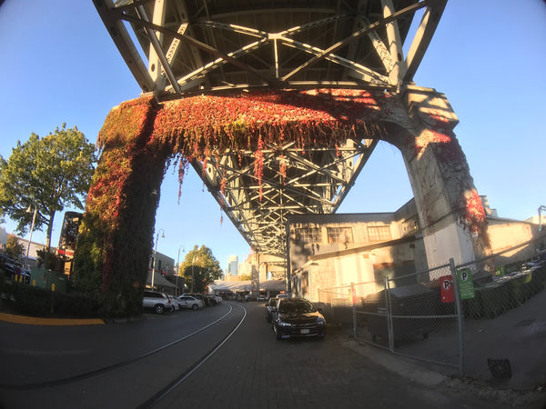 Top Four Reasons to Tour Granville Island