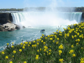 Day Trip to Niagara Falls