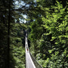 Capilano Bridge Tour