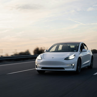 Tesla Model Y Canadian Craft Tours & Charters 