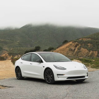 Tesla Model Y Canadian Craft Tours & Charters 