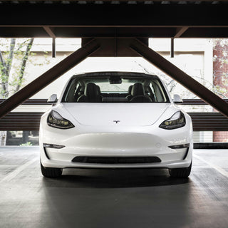 Tesla Model Y Canadian Craft Tours & Charters 