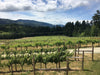 Langley Wine Tours